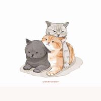 吉白家族