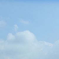 111-1童軍露營活動1