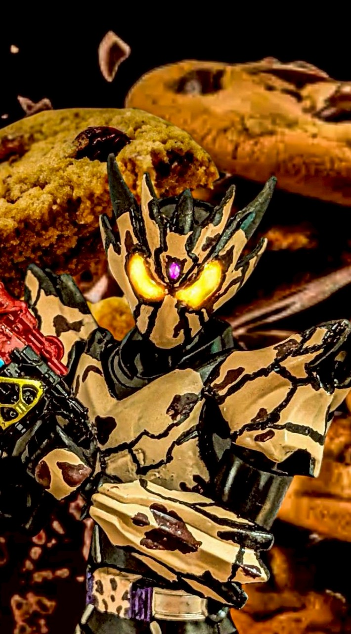 仮面ライダー装動  SHODO