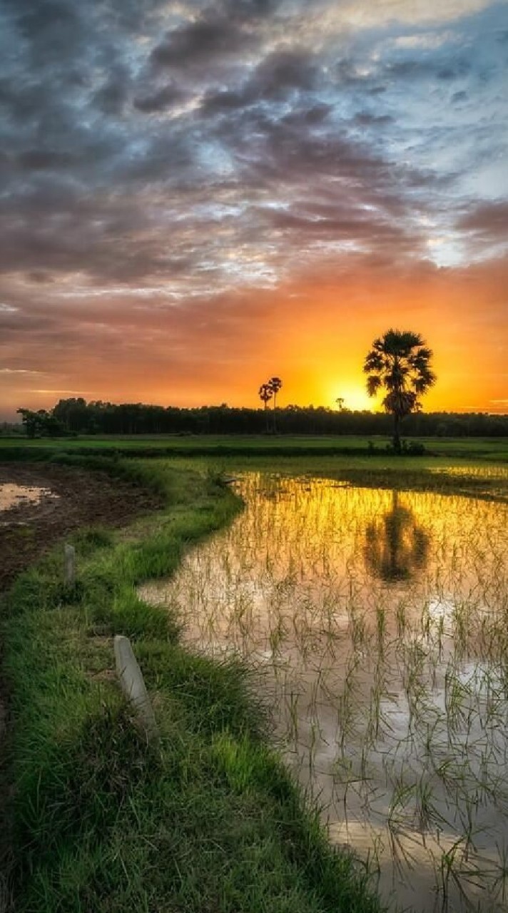 `| แดนอีสานบ้านเฮา [รวมเมะ]