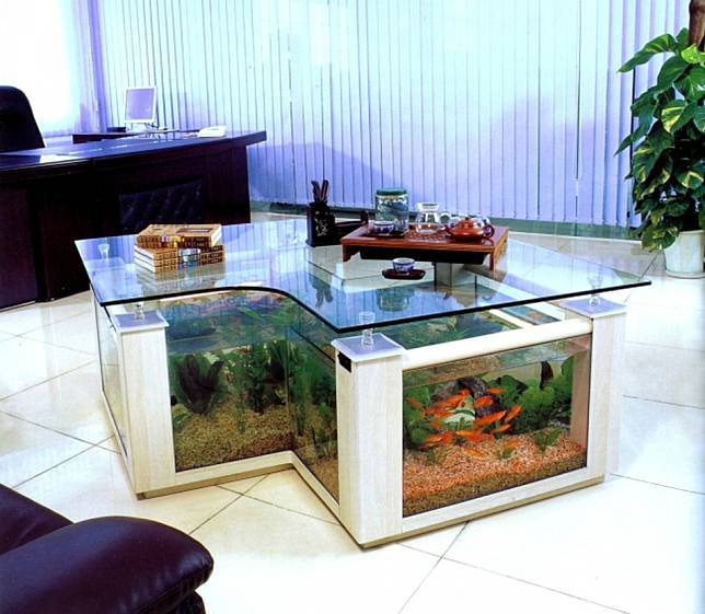 Integrated Aquarium, Menyapa Ikan Dengan Cara Unik. | Furnizing.com | LINE TODAY