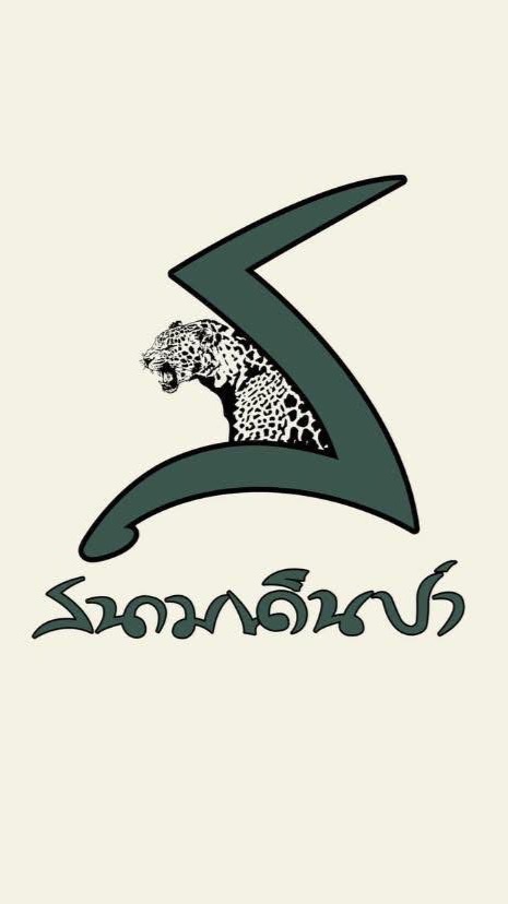 สนามเดินป่า Field&Camping