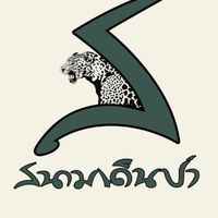 สนามเดินป่า Field&Camping