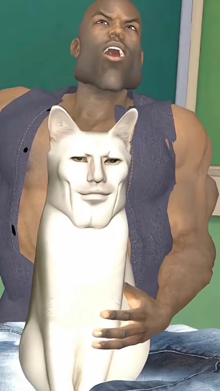 Sigma boy