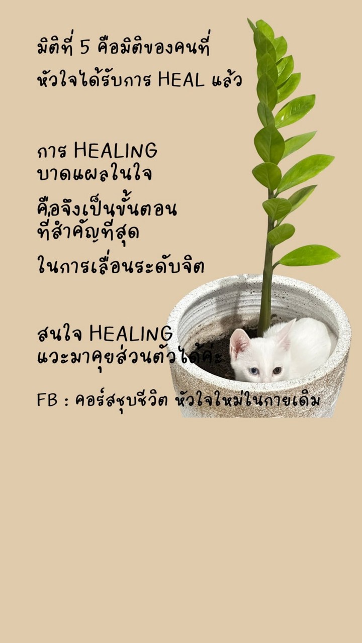 คุยกับ healer กาญจนา ช่วยพิชัย
