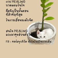 คุยกับ healer กาญจนา ช่วยพิชัย