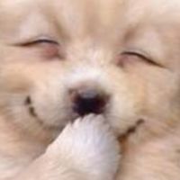🌸おふざけ雑談🌸笑顔わちゃ部屋🌸大人🌸
