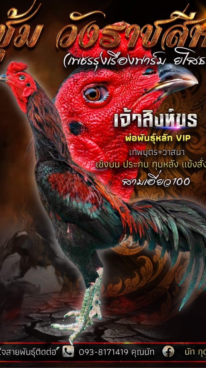 เพชรรุ่งเรืองฟาร์ม ยโสธร