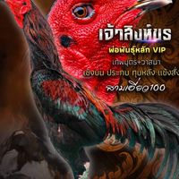 เพชรรุ่งเรืองฟาร์ม ยโสธร