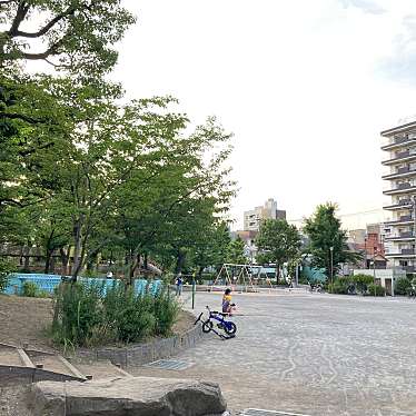 牡丹町公園 ボタンチョウコウエン 牡丹 門前仲町駅 公園 By Line Place