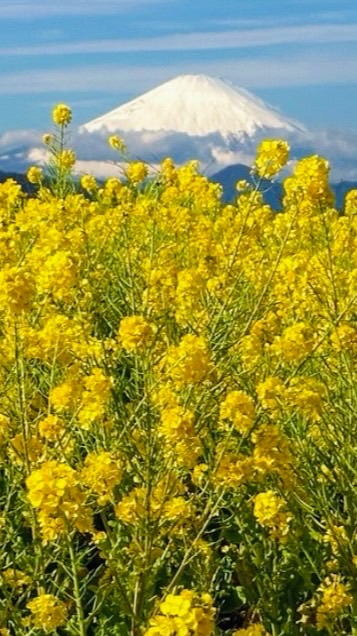 一都三県🌈45歳からのグルメとお酒を楽しむお部屋