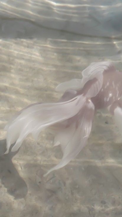 來聊聊吧❤︎