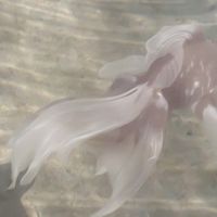 來聊聊吧❤︎