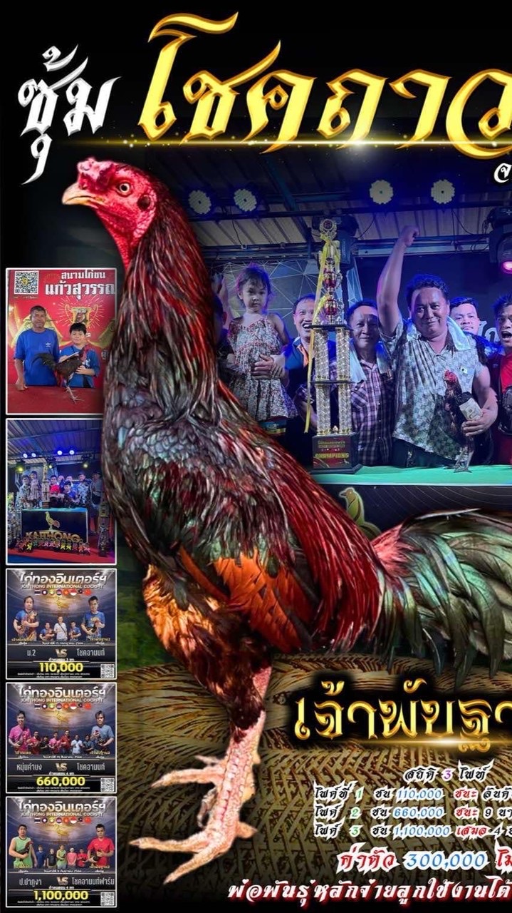 ซุ้มไก่ชนบ้านนายช่างฟาร์มแหล่งพัฒนาไก่ชนพม่า