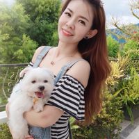 安妮不踩雷💋