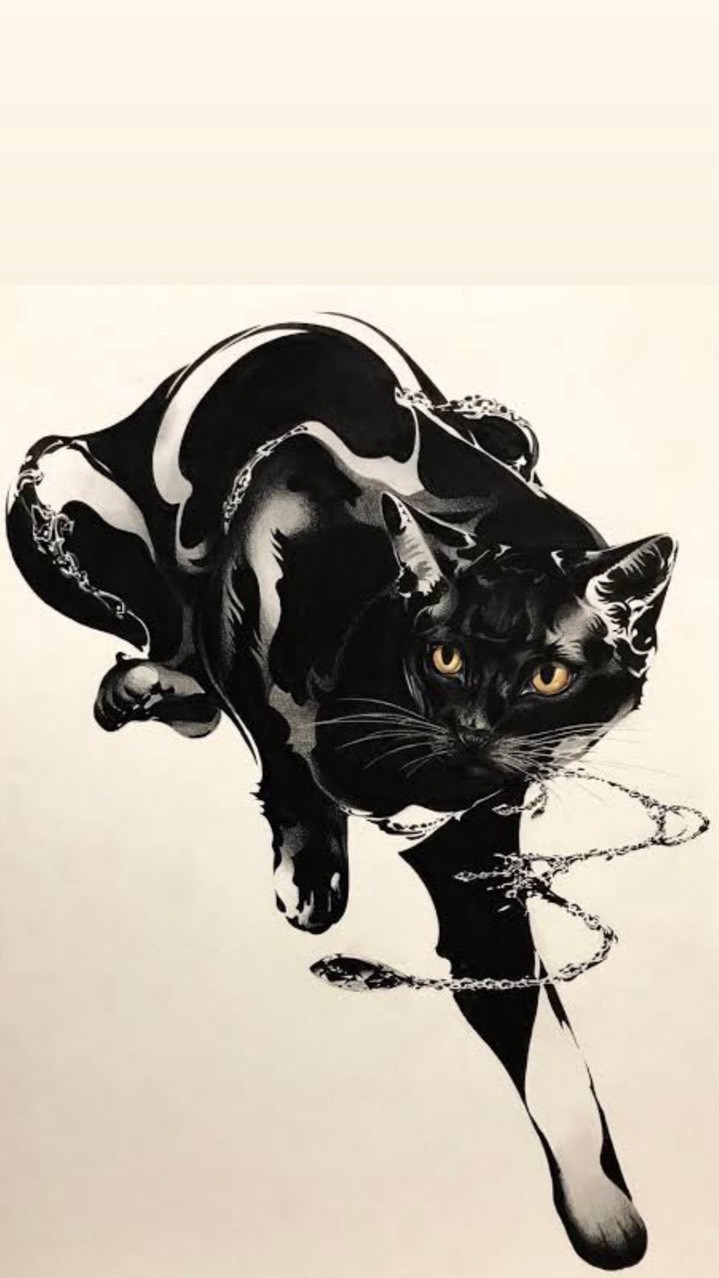 やまぐち🐈‍⬛🐾【🔥6/25~7/1新人王参戦🔥】