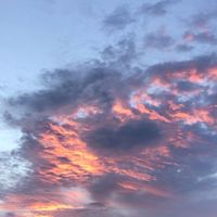 แบ่งปันท้องฟ้า⛅️🌷