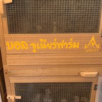 กลุ่มเบอร์ไก่บน จูเนียร์ฟาร์ม