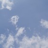 誰か…依存してかまってくれる人来てー