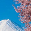 3/27-3/30🇯🇵沖繩連線「Cindy選物代購」不定期連線