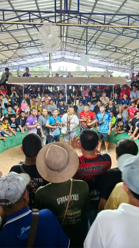 สนามดาวรุ่งเดชอุดม