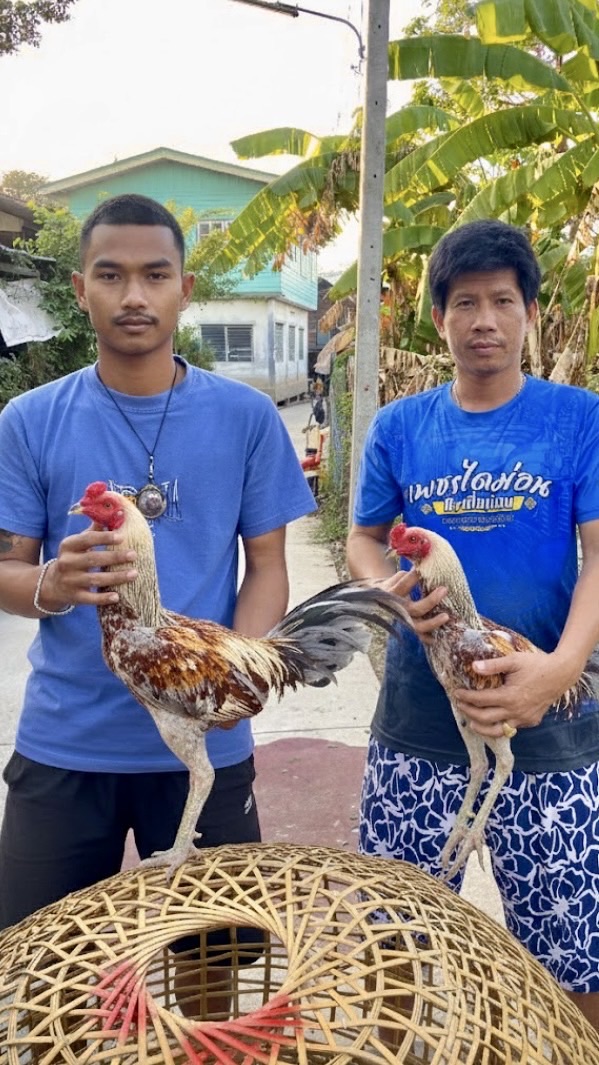 เพชรไดม่อน&เพชรบุญหุ้ม.