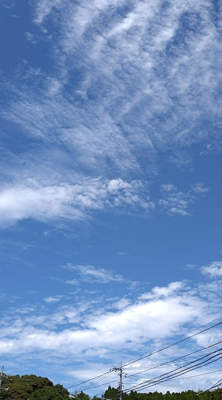 都道府県、市町村郡区府、しりとり