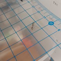 蚊子不專業觀察