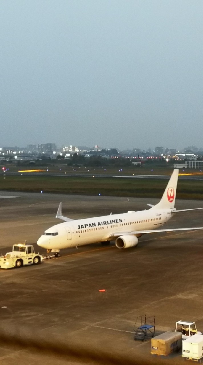 ✈️【新卒】JAL志望 ✈️CREWNET