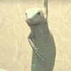 zeta民この指とーまれ‼️