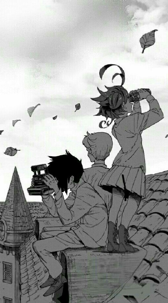 ``||•the promised neverland•||``✨