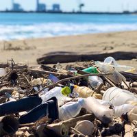 🐳茨城の海沿いキレイにしたい🐳✨日本ビーチクリーン推進協議会✨