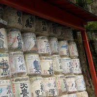 【会員限定】赤兵衛 日本酒マニアの会（仮）