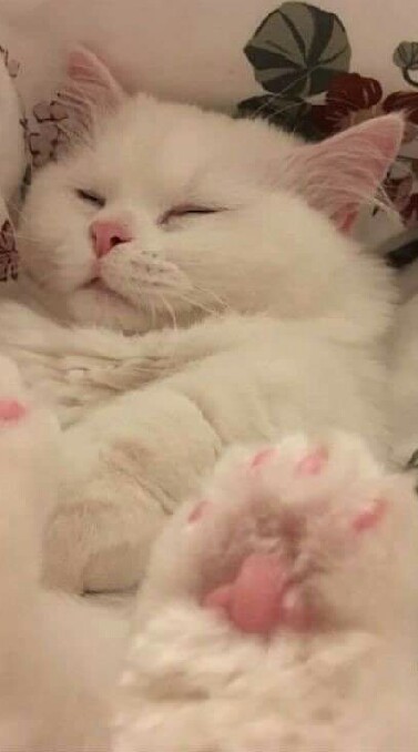🫗❵  ᚐ､ˑ̶͙⏲️𓊪̟ แจกรูป♡̷̷̷♡̷̷̷ ✍🏻  ִ    ۫  ㅅ