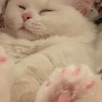 🫗❵  ᚐ､ˑ̶͙⏲️𓊪̟ แจกรูป♡̷̷̷♡̷̷̷ ✍🏻  ִ    ۫  ㅅ