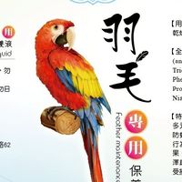 台灣鸚鵡交流網