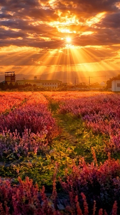 104高年級生/劉攝老師攝影群組