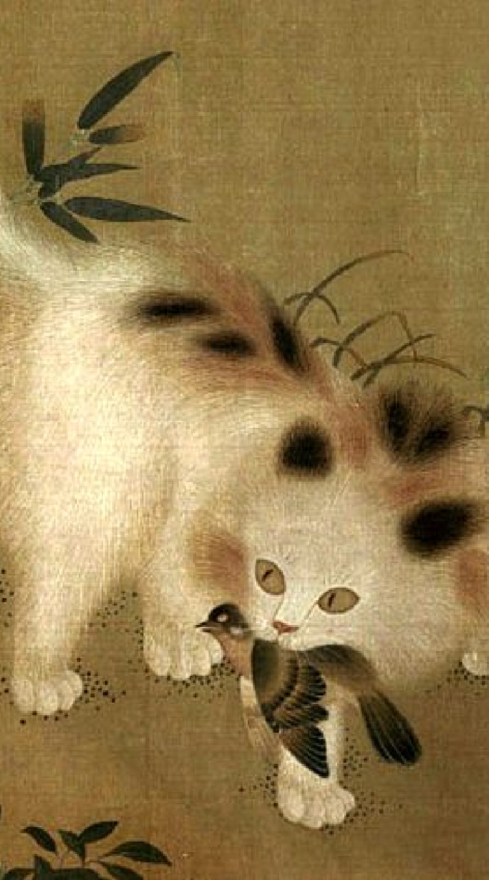 貓咪罐頭蝦皮查價守護神🐈