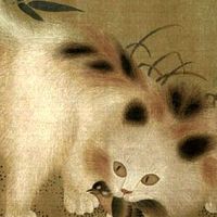 貓咪罐頭蝦皮查價守護神🐈
