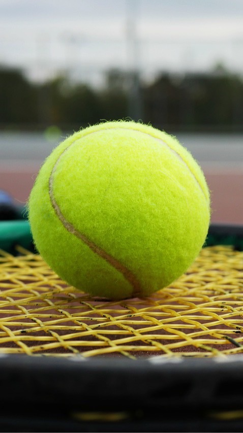 豊田市テニスサークル🎾