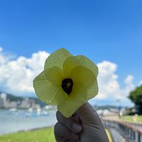 觀自在-自在觀