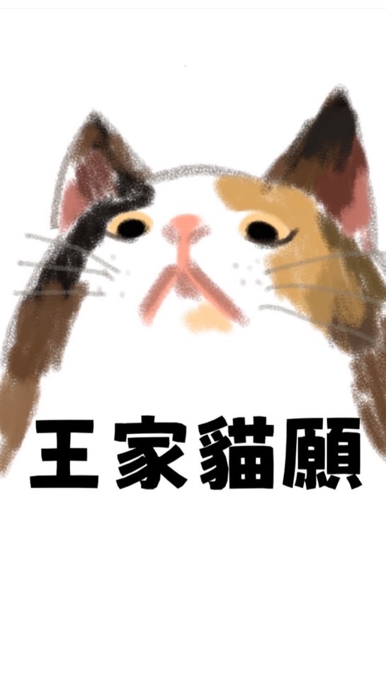 王家貓願一起團
