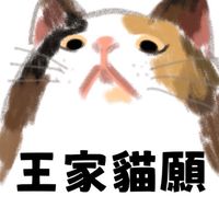 王家貓願一起團