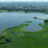 群馬　バス釣り　近藤沼　多々良沼　城沼　初心者歓迎🔰