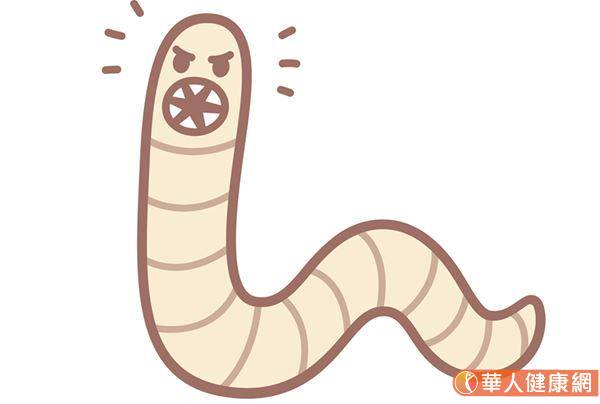 寄生蟲是敵是友 人體野化實驗 科學家復育腸道寄生蟲 竟發現這意外結果 華人健康網 Line Today