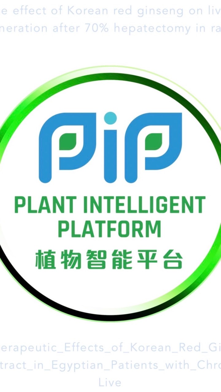 PlP-KIWI團隊