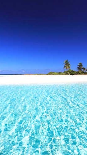 さきちゃんのピアノ/才能教育心理学人生UPカフェ