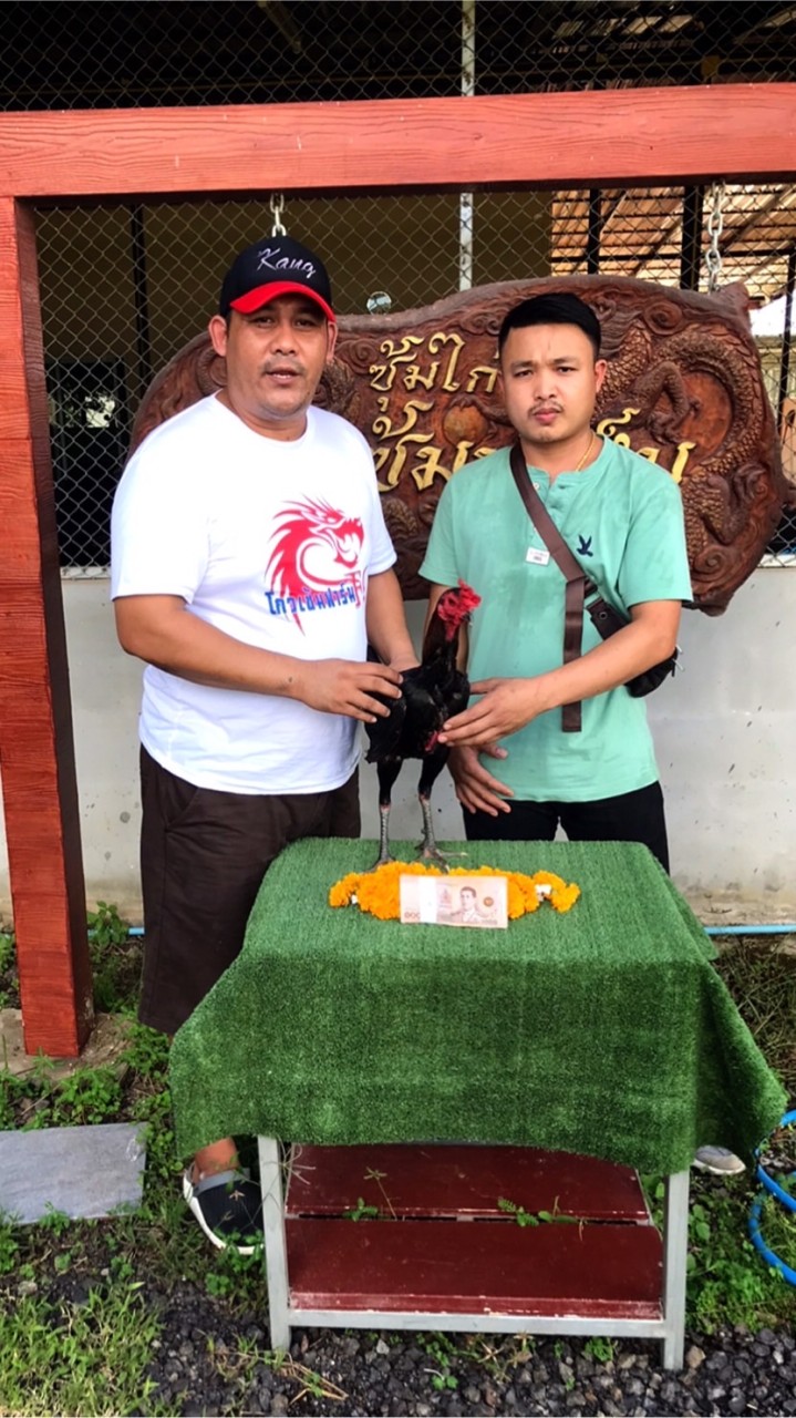 ธนโชติ ฟาร์ม