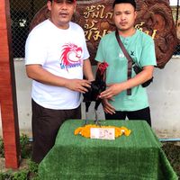 ธนโชติ ฟาร์ม