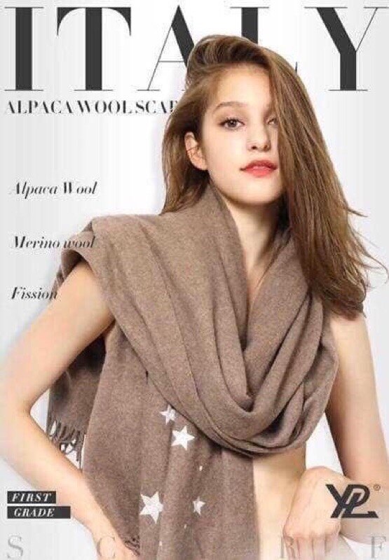 圍巾中的愛馬仕